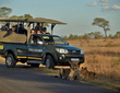 5 Day Kruger Budget Tented Safari